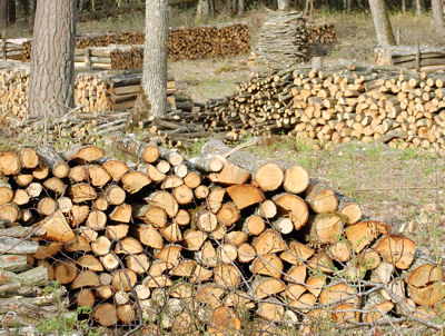 bois chauffage